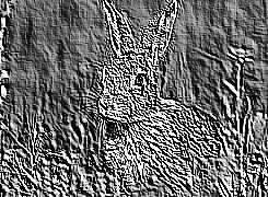 Skamielina
