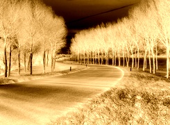 Sepia + Negatyw