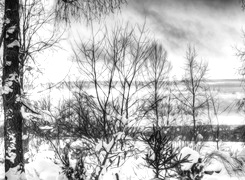 Szary + Sepia