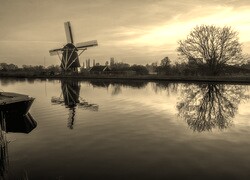 Szary + Sepia