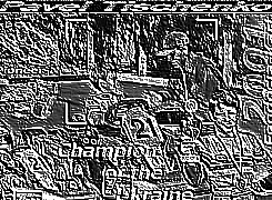 Skamielina