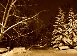 Sepia