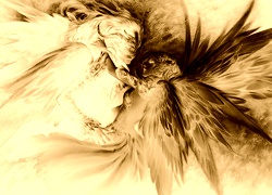 Sepia + Negatyw