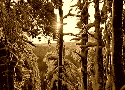 Sepia