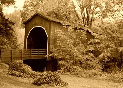 Sepia