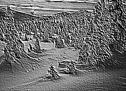 Skamielina