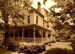 Sepia