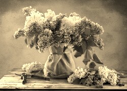 Szary + Sepia