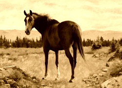 Sepia