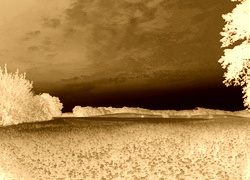 Sepia + Negatyw