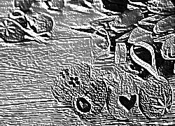 Skamielina