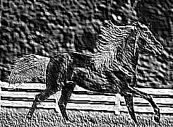 Skamielina