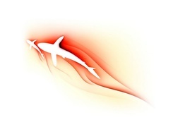Negatyw