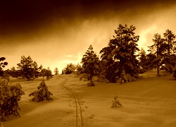 Sepia