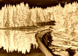 Sepia + Negatyw