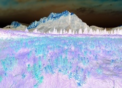 Negatyw