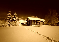 Sepia