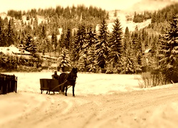 Sepia