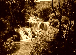 Sepia