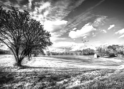 Szary + Sepia