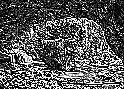 Skamielina