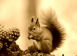 Sepia