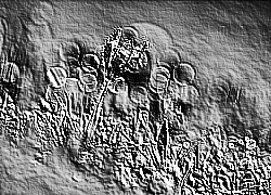 Skamielina