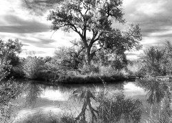 Szary + Sepia