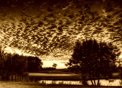Sepia