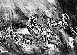 Skamielina