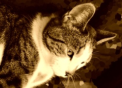 Sepia