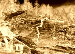 Sepia + Negatyw