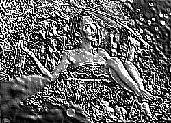 Skamielina