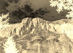 Sepia + Negatyw
