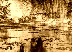 Sepia + Negatyw