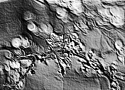 Skamielina