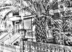 Szary + Sepia