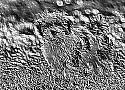 Skamielina