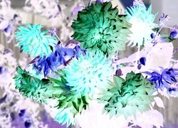 Negatyw