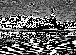 Skamielina