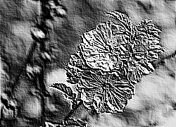 Skamielina