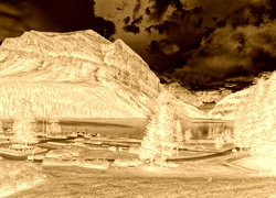 Sepia + Negatyw