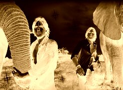 Sepia + Negatyw