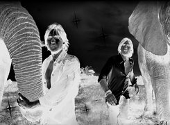 Szary + Negatyw