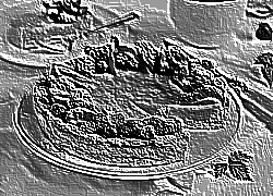 Skamielina