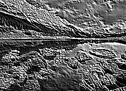 Skamielina