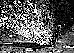 Skamielina
