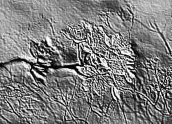 Skamielina