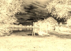Sepia + Negatyw