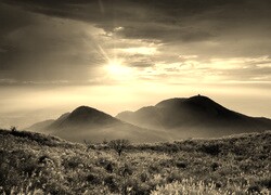 Szary + Sepia